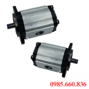 Bơm bánh răng JP20/53/F21/S6/R | S6 Trục 22.22
