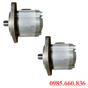 Bơm bánh răng JP20/63/F21/S6/R | S6 Trục 22.22