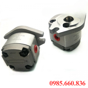 Bơm bánh răng HGP 21R-X-2B | D15.8, D17.46, D19.05