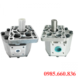 Bơm bánh răng HGP 25R-X-2B | D15.8, D17.46, D19.05