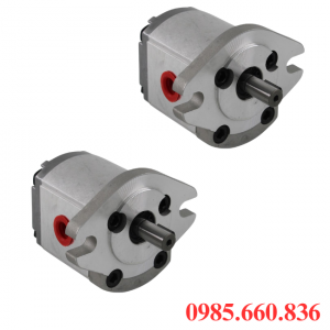 Bơm bánh răng HGP 30R-X-2B | D15.8, D17.46, D19.05