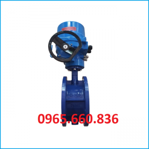 Van bướm điều khiển điện tay quay