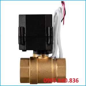 Van bi đồng điều khiển điện