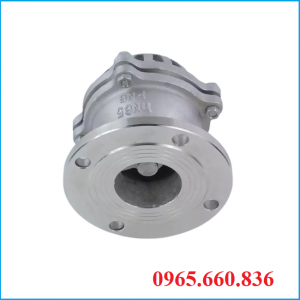 Rọ bơm mặt bích