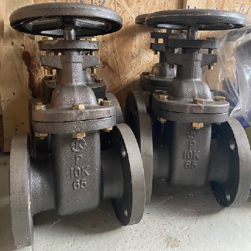 Van cổng ANSI Class 150, 300