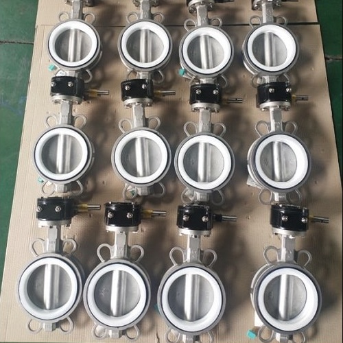Mua van bướm tại Đà Nẵng