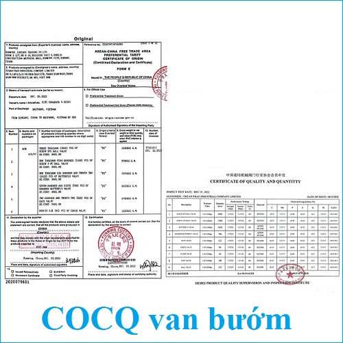 COCQ van bướm
